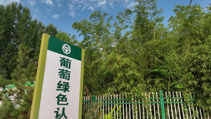 白鹿原葡萄主题公园灞桥葡萄示范基地航拍