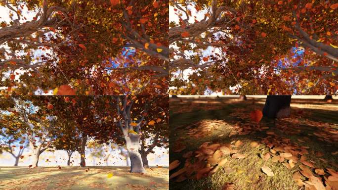 4K 秋天金色树叶缓慢飘落慢镜头