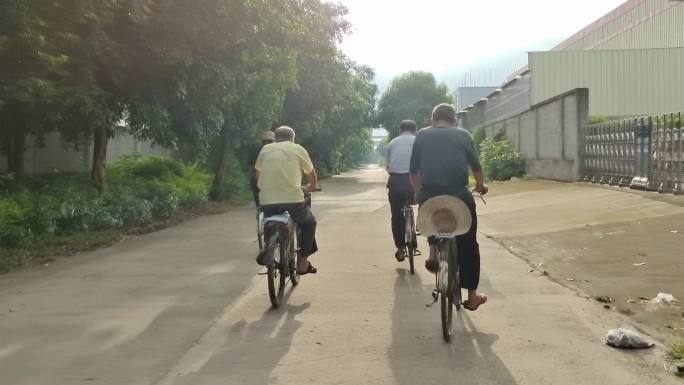 一群骑自行车的老人骑车的老人踏单车的人