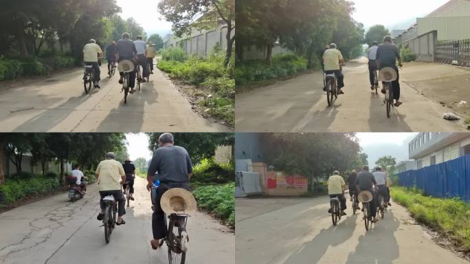 一群骑自行车的老人骑车的老人踏单车的人