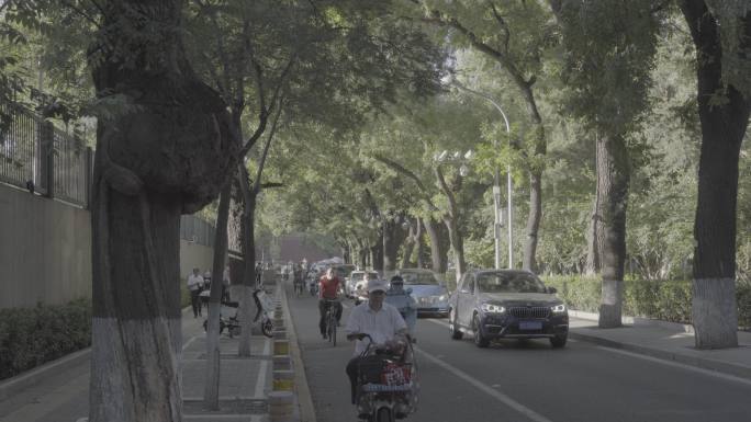 北京道路随手拍