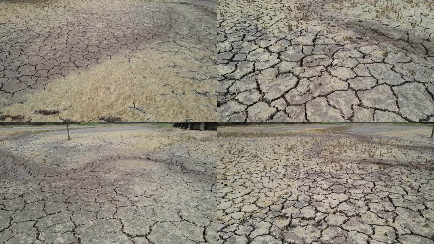 重庆高温干涸的农田