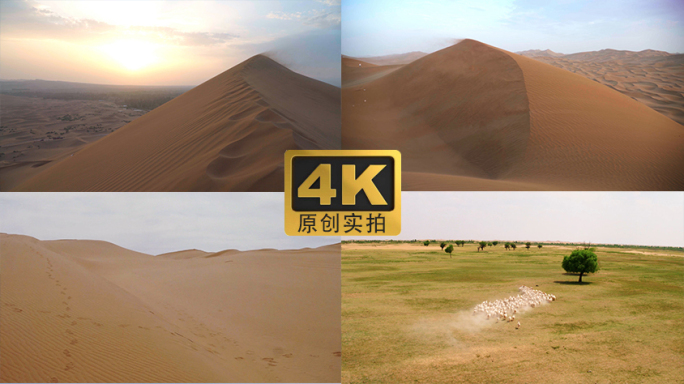 4K_沙漠绿洲【原创】