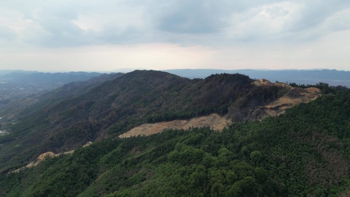 山火扑灭后的重庆北碚缙云山隔离带航拍