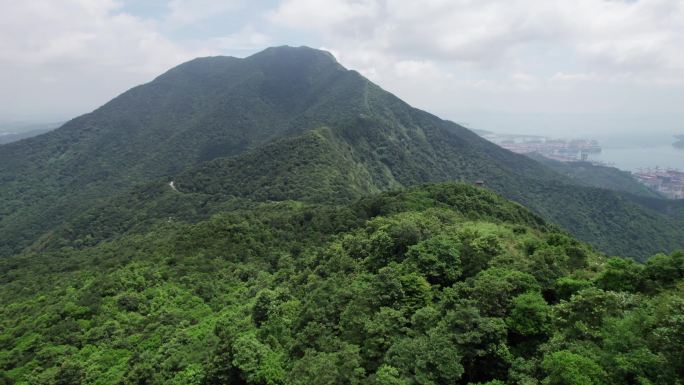 深圳梧桐山十里杜鹃观海亭航拍