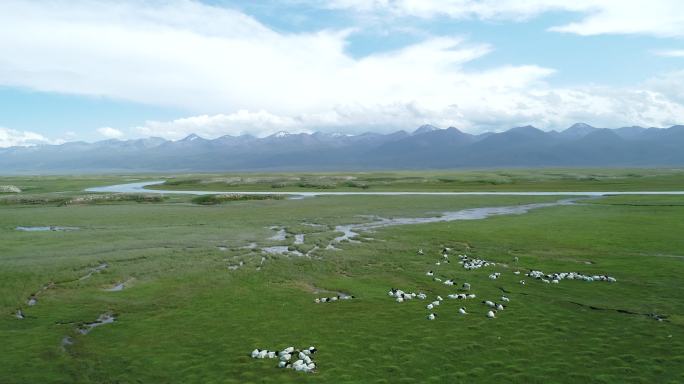 航拍新疆夏季草原风景