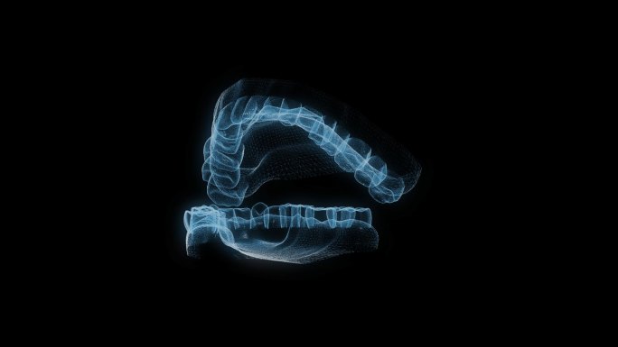 透视全息口腔牙齿透明通道素材