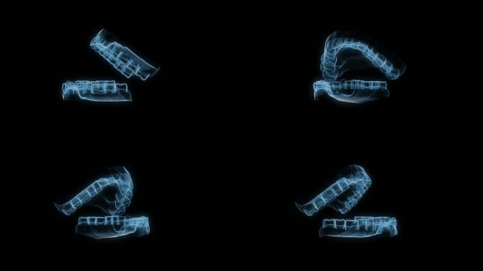 透视全息口腔牙齿透明通道素材