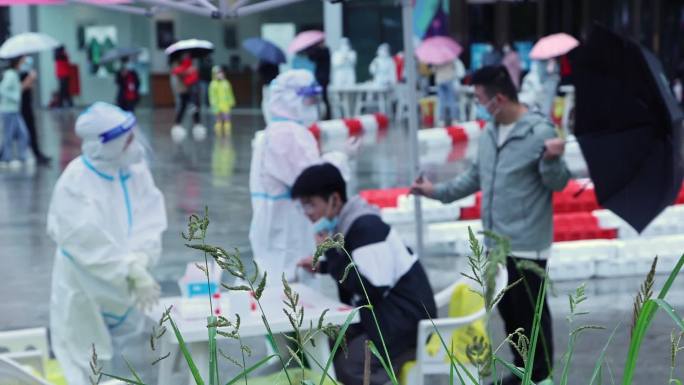 核酸  秋天  下雨 北方