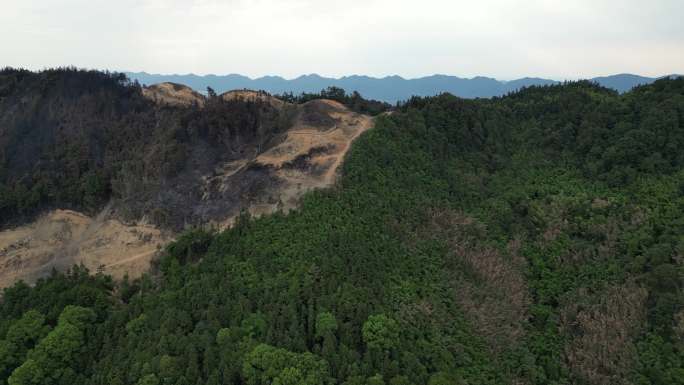 山火扑灭后的重庆北碚缙云山隔离带航拍