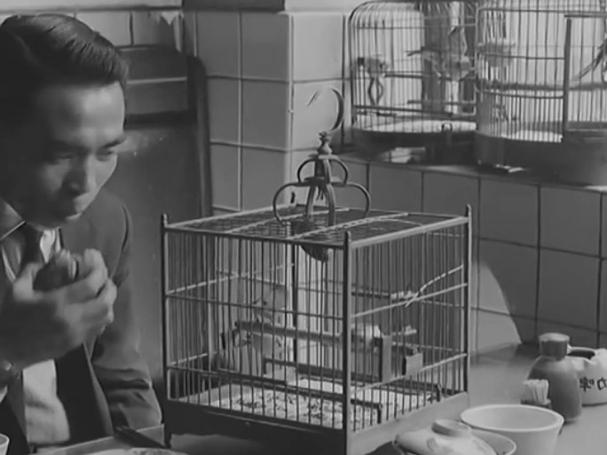 60年代老茶馆  蚂蚱喂鸟 遛鸟 鸟笼子