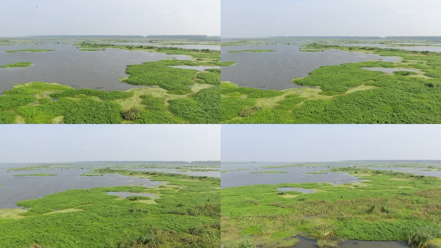 洪泽湖湿地风光