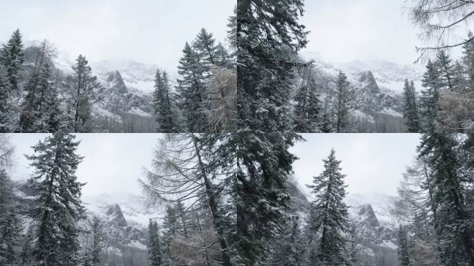 四姑娘山景区雪景