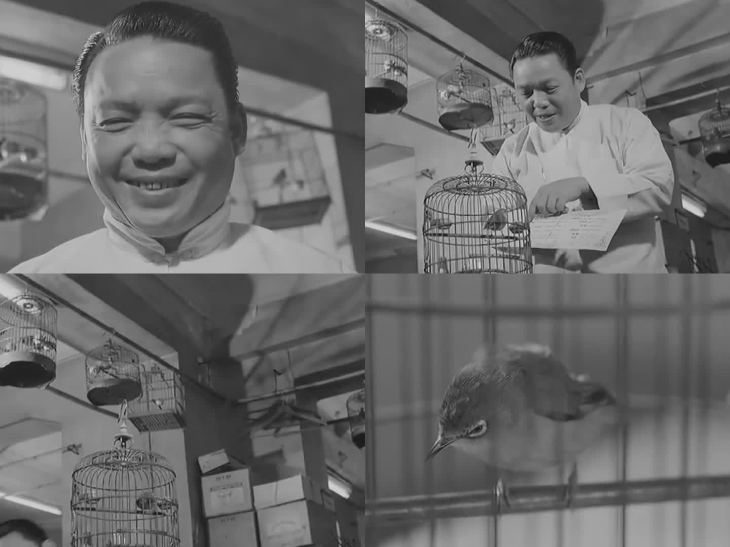60年代老茶馆逗鸟 遛鸟 鸟笼子