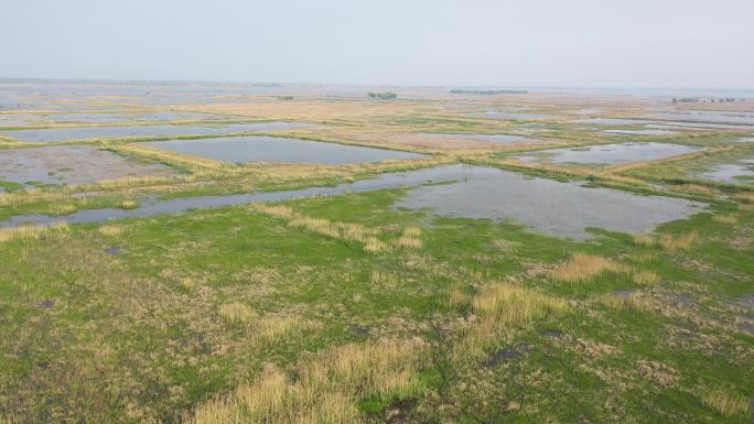 洪泽湖湿地风光