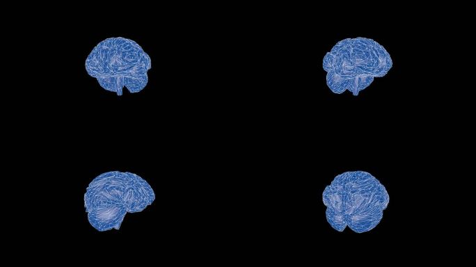 高科技数字大脑C4D工程