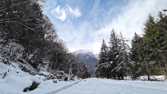 川西高原冬季森林高山滑雪道