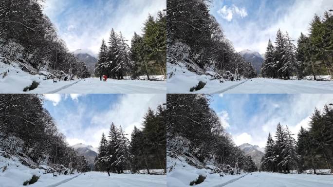 川西高原冬季森林高山滑雪道