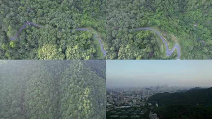广州白云山森林公园树木阳光徒步爬山绿道