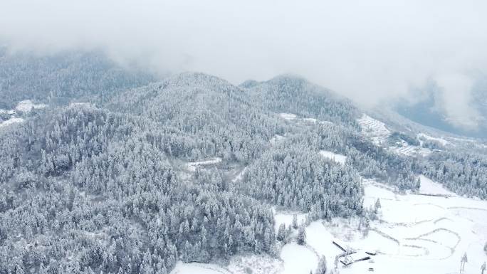 下雪的山路