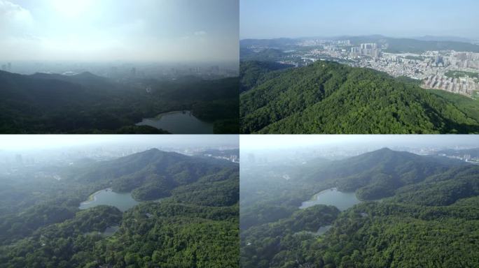 广州白云山森林公园树木阳光徒步爬山