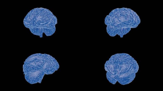4k科技感大脑循环动画