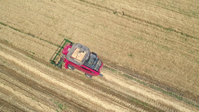 航拍秋天收割机麦田作业农业丰收收割粮食