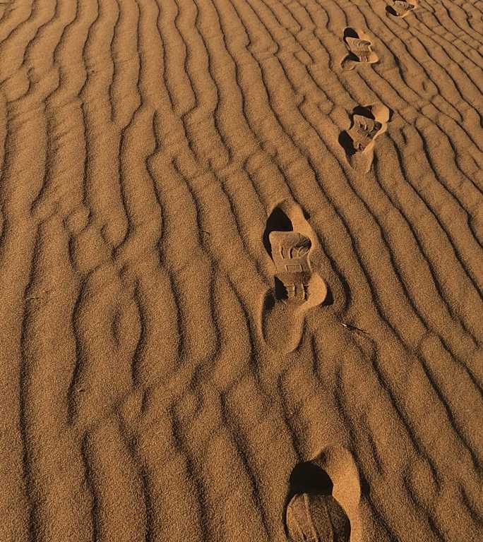 沙纹与脚印