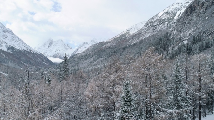 四姑娘山冬季雪景山谷树林航拍风景