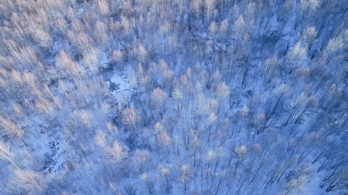 航拍雪季银色雪林