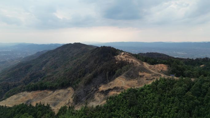 山火扑灭后的重庆北碚缙云山隔离带航拍