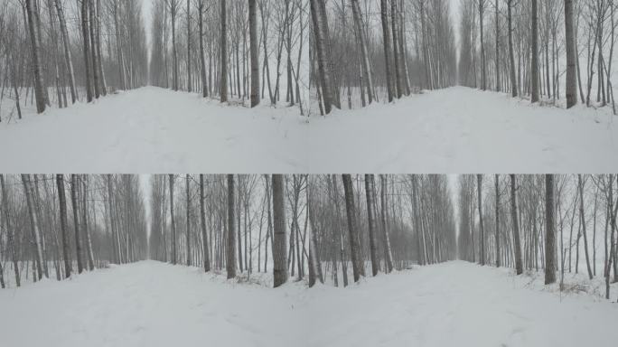 乡间小路雪景航拍丨Dlog灰片