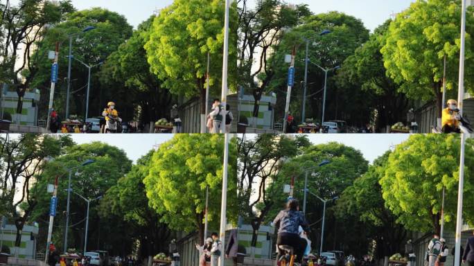 夏天 绿色道路 行人