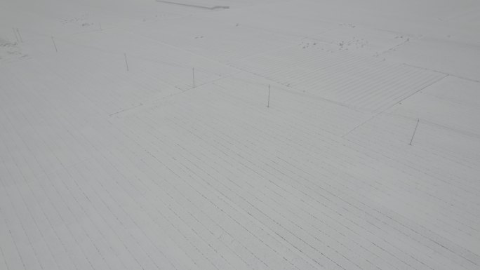 航拍平原田野大雪覆盖丨Dlog原始素材