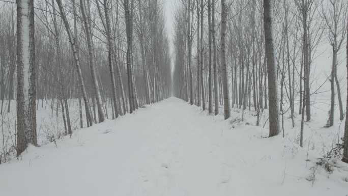 乡间小路雪景航拍丨Dlog灰片