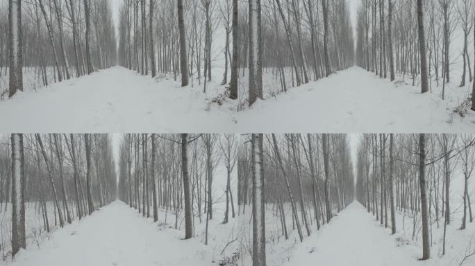 乡间小路雪景航拍丨Dlog灰片