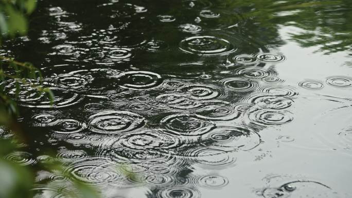 池塘水面突然下雨雨滴4k高质量升格素材