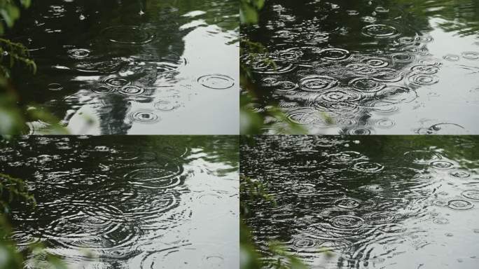 池塘水面突然下雨雨滴4k高质量升格素材