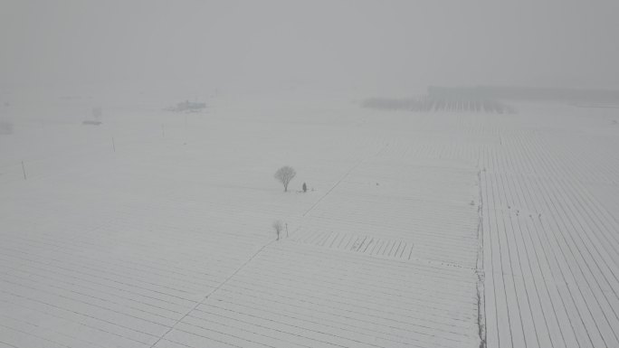 航拍白茫茫雪白大地丨Dlog丨原始灰片