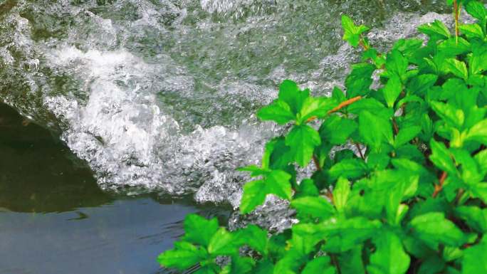 广东惠州南昆山山溪瀑布4K