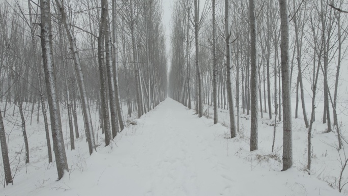 乡间小路雪景航拍丨Dlog灰片