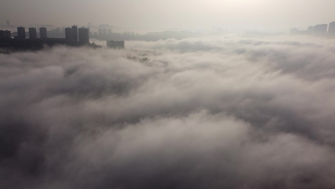城市云海平流雾