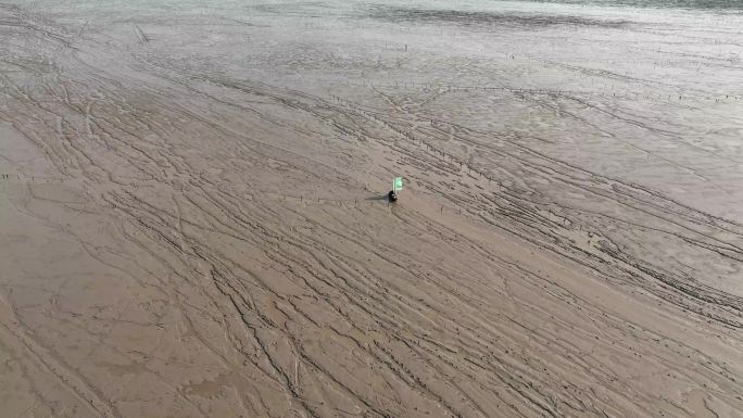 赶海 海边赶海