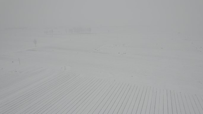 航拍白茫茫雪白大地丨Dlog丨原始灰片