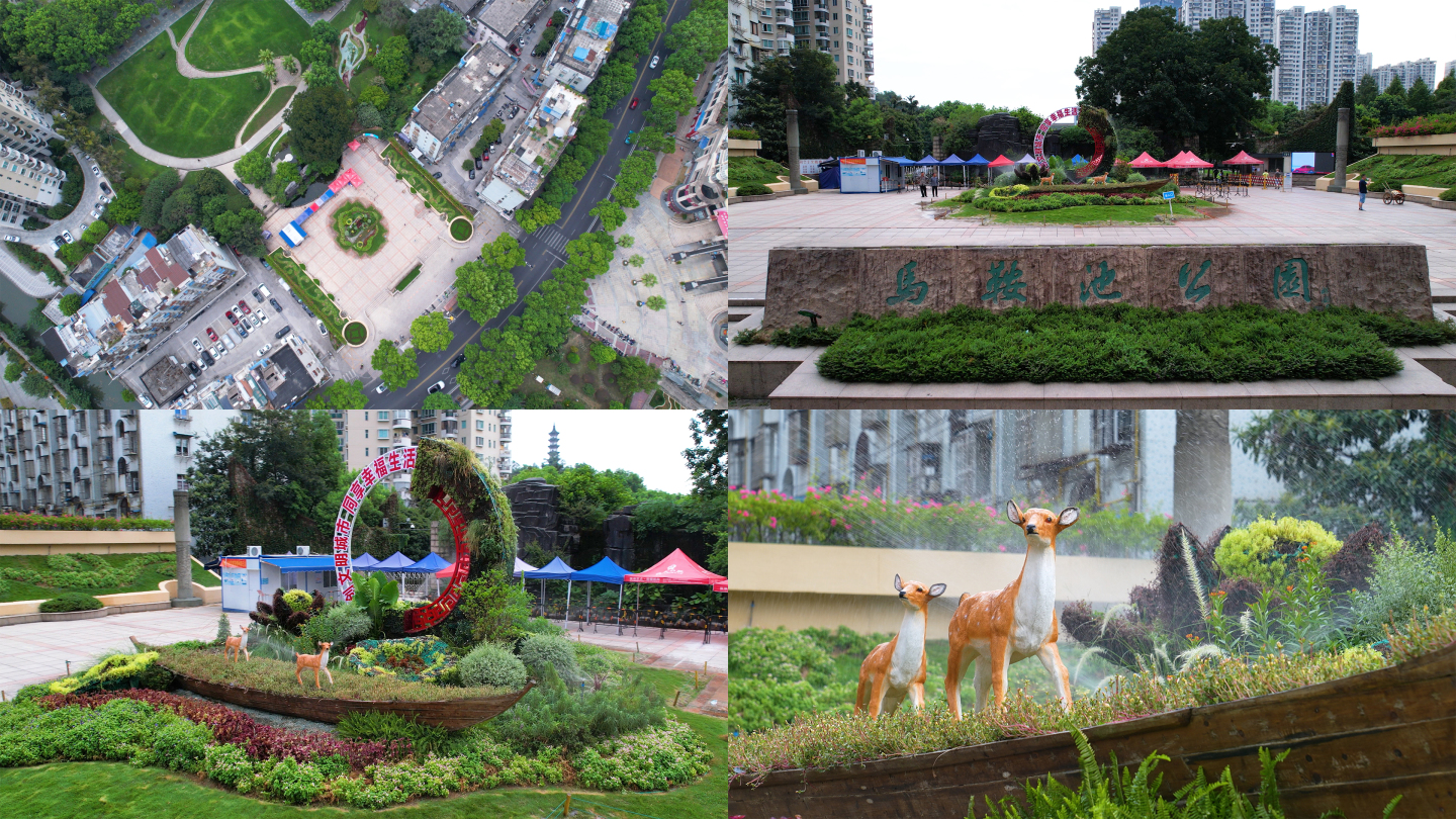 4K 航拍 温州文明城市公园景观绿化