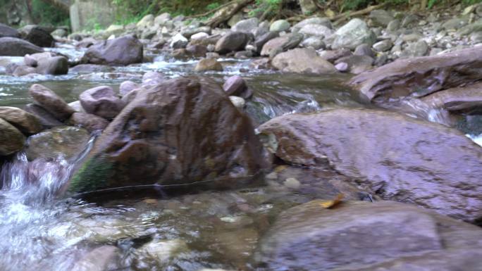 山涧溪流视频