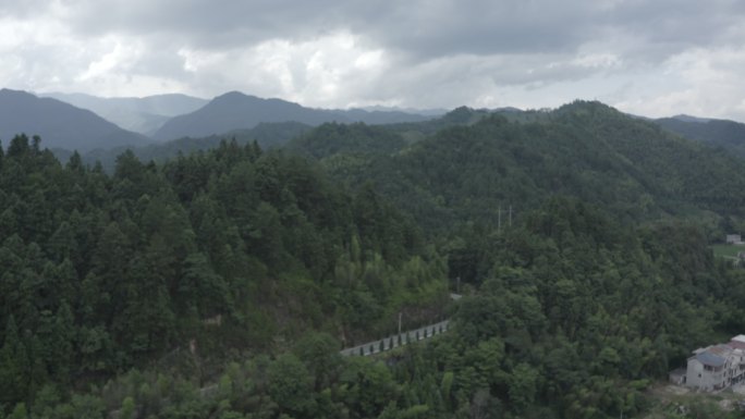 井冈山航拍 森林山林