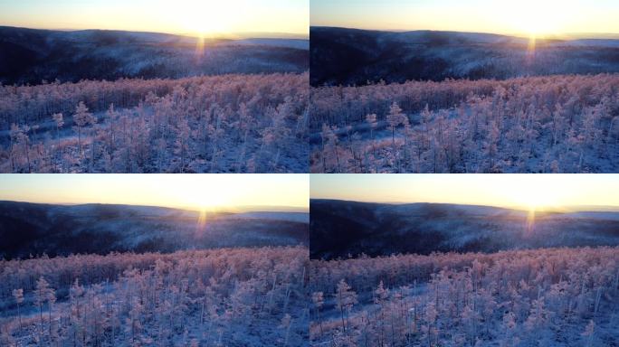 航拍大兴安岭林海雪原日出