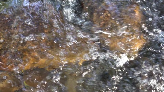 山涧溪流升格视频