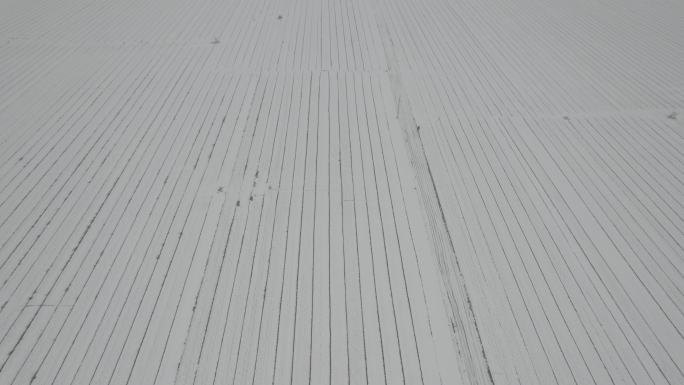 航拍农田大雪覆盖丨Dlog原始素材